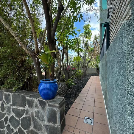 דירה Centrico Con Piscina סנטה קרוז דה טנריף